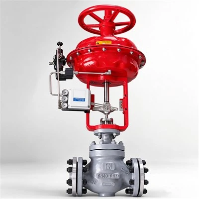 Balanced Cage Guided Control Valve
