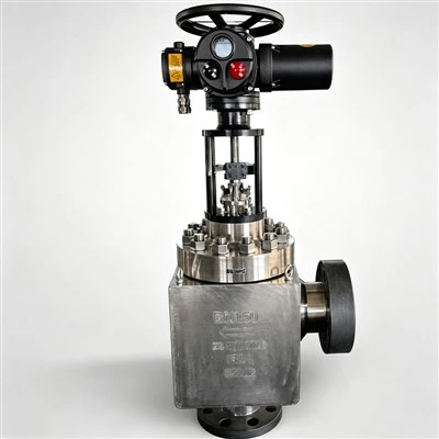 Power Plant Control Valve
